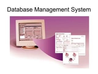 Database Management System
 