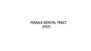 FEMALE GENITAL TRACT
(FGT)
 
