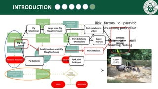 Serological prevalence of human trichinellosis and cysticercosis in Hoa Binh Province of northwest Vietnam
