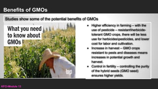 13th week - Genetically Modified Organisms Science, Health, and Politics  (Introduction).pptx