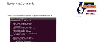 View detailed statistics for all ports with netstat -s.
Networking Commands
 