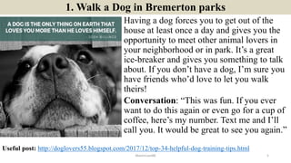 1. Walk a Dog in Bremerton parks
Having a dog forces you to get out of the
house at least once a day and gives you the
opp...