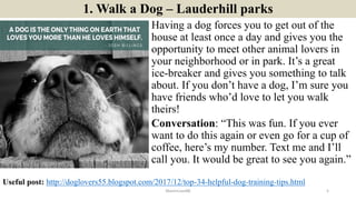 1. Walk a Dog – Lauderhill parks
Having a dog forces you to get out of the
house at least once a day and gives you the
opp...