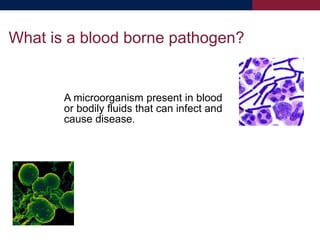 What is a blood borne pathogen?
A microorganism present in blood
or bodily fluids that can infect and
cause disease.
 