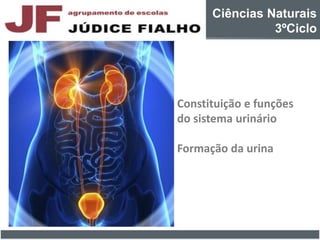 Ciências Naturais
3ºCiclo
Constituição e funções
do sistema urinário
Formação da urina
 