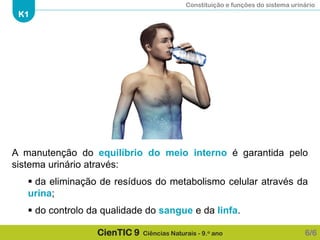 Constituição e funções do sistema urinário
K1
CienTIC 9 Ciências Naturais - 9.o ano
A manutenção do equilíbrio do meio interno é garantida pelo
sistema urinário através:
 da eliminação de resíduos do metabolismo celular através da
urina;
 do controlo da qualidade do sangue e da linfa.
6/6
 