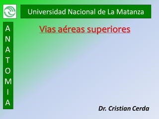 Universidad Nacional de La Matanza

A      Vias aéreas superiores
N
A
T
O
M
I
A
                        Dr. Cristian Cerda
 