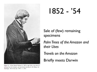 1852 - ’54

Sale of (few) remaining
specimens
Palm Trees of the Amazon and
their Uses
Travels on the Amazon
Brieﬂy meets Darwin
 