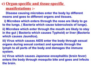 c) Organ-specific and tissue-specific
manifestations :-
Disease causing microbes enter the body by different
means and goes to different organs and tissues.
i) Microbes which enters through the nose are likely to go
to the lungs. ( Bacteria which cause tuberculosis of lungs).
ii) Microbes which enter through the mouth are likely to stay
in the gut ( Bacteria which causes Typhoid) or liver (Bacteria
which causes Jaundice).
iii) Virus which causes AIDS enter the body through sexual
organs during sexual contact and spreads through the
lymph to all parts of the body and damages the immune
system.
iv) Virus which causes Japanese encephalitis (brain fever)
enters the body through mosquito bite and goes and infects
the brain.
 