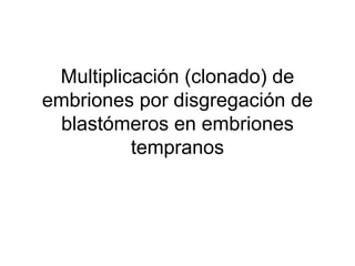Multiplicación (clonado) de
embriones por disgregación de
blastómeros en embriones
tempranos

 