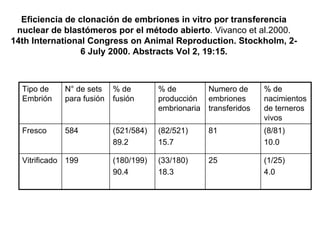 Eficiencia de clonación de embriones in vitro por transferencia
nuclear de blastómeros por el método abierto. Vivanco et al.2000.
14th International Congress on Animal Reproduction. Stockholm, 26 July 2000. Abstracts Vol 2, 19:15.

Tipo de
Embrión

N° de sets
para fusión

% de
fusión

% de
producción
embrionaria

Numero de
embriones
transferidos

% de
nacimientos
de terneros
vivos

Fresco

584

(521/584)
89.2

(82/521)
15.7

81

(8/81)
10.0

Vitrificado 199

(180/199)
90.4

(33/180)
18.3

25

(1/25)
4.0

 