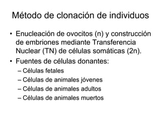 Método de clonación de individuos
• Enucleación de ovocitos (n) y construcción
de embriones mediante Transferencia
Nuclear (TN) de células somáticas (2n).
• Fuentes de células donantes:
– Células fetales
– Células de animales jóvenes
– Células de animales adultos
– Células de animales muertos

 