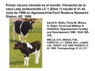 Primer vacuno clonado en el mundo: Clonación de la
vaca Lady produciendo LC 1 (Elsie 1) nacida el 31 de
Julio de 1998 en Agresearch/arTech Ruakura Research
Station, NZ. 1998
David N. Wells, Pavla M. Misica,
H. Robin Tervit and William H.
VIVANCO. Reproduction Fertility
and Development 1998. 10(4) 369378.
WELLS, D.N.; MISICA, P.M.;
FORSYTH, J.T.; BERG, M.C.; LANGE,
J.M.; TERVIT, H.R. AND VIVANCO, H.
W. 1999. Theriogenology 51 (1): 217

 