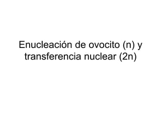 Enucleación de ovocito (n) y
transferencia nuclear (2n)

 