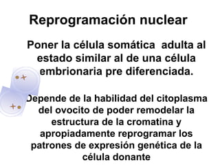 Reprogramación nuclear
Poner la célula somática adulta al
estado similar al de una célula
embrionaria pre diferenciada.
Depende de la habilidad del citoplasma
del ovocito de poder remodelar la
estructura de la cromatina y
apropiadamente reprogramar los
patrones de expresión genética de la
célula donante

 