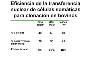 Eficiencia de la transferencia
nuclear de células somáticas
para clonación en bovinos
Clon
actual

Clon
meta

actual
IVP

% Blástulas

40

50

40

% Sobrevivencia
embrionaria

20

50

45

Eficiencia total

8%

25%

18%

 