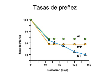 Tasas de preñez
100

Tasa de Preñez

80

AI
60

IV P
40

NT
0

40

80

Gestación (días)

120

160

 