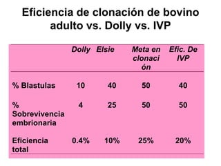 Eficiencia de clonación de bovino
adulto vs. Dolly vs. IVP
Dolly Elsie

Meta en
clonaci
ón

Efic. De
IVP

% Blastulas

10

40

50

40

%
Sobrevivencia
embrionaria

4

25

50

50

0.4%

10%

25%

20%

Eficiencia
total

 