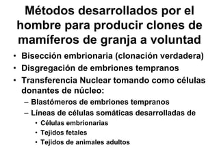 Métodos desarrollados por el
hombre para producir clones de
mamíferos de granja a voluntad
• Bisección embrionaria (clonación verdadera)
• Disgregación de embriones tempranos
• Transferencia Nuclear tomando como células
donantes de núcleo:
– Blastómeros de embriones tempranos
– Líneas de células somáticas desarrolladas de
• Células embrionarias
• Tejidos fetales
• Tejidos de animales adultos

 