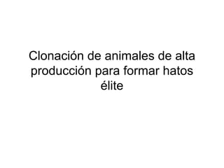 Clonación de animales de alta
producción para formar hatos
élite

 
