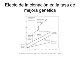 Efecto de la clonación en la tasa de
mejora genética

 