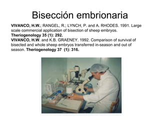 Bisección embrionaria
VIVANCO, H.W.; RANGEL, R.; LYNCH, P. and A. RHODES. 1991. Large
scale commercial application of bisection of sheep embryos.
Theriogenology 35 (1): 292.
VIVANCO, H.W. and K.B. GRAENEY. 1992. Comparison of survival of
bisected and whole sheep embryos transferred in-season and out of
season. Theriogenology 37 (1): 316.

 