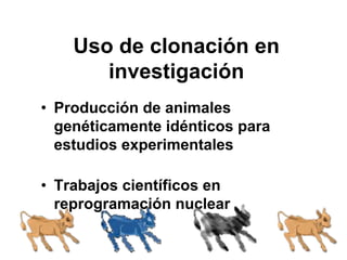 Uso de clonación en
investigación
• Producción de animales
genéticamente idénticos para
estudios experimentales
• Trabajos científicos en
reprogramación nuclear

 