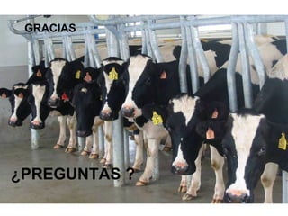 GRACIAS

Preguntas?

¿PREGUNTAS ?

 