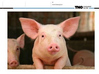 58

Surfnet Relatiedag 2012
 