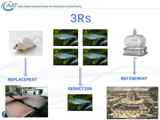 Introduction to alternatives to animal testing in toxicology | PPT