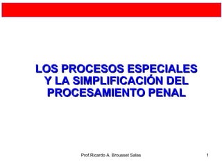 LOS PROCESOS ESPECIALES
 Y LA SIMPLIFICACIÓN DEL
  PROCESAMIENTO PENAL




      Prof.Ricardo A. Brousset Salas   1
 