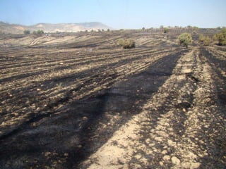 14.07.2012 güngör yangini