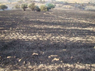 14.07.2012 güngör yangini