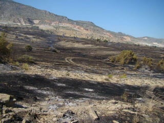 14.07.2012 güngör yangini