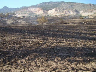 14.07.2012 güngör yangini