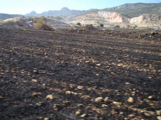 14.07.2012 güngör yangini