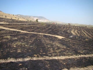 14.07.2012 güngör yangini