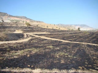 14.07.2012 güngör yangini