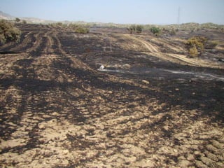 14.07.2012 güngör yangini