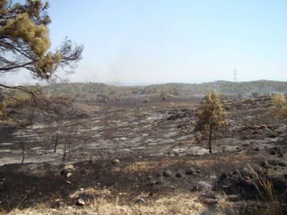 14.07.2012 güngör yangini