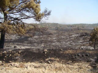 14.07.2012 güngör yangini