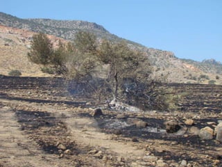14.07.2012 güngör yangini