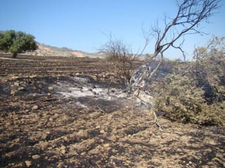 14.07.2012 güngör yangini