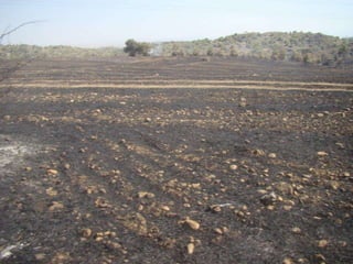 14.07.2012 güngör yangini