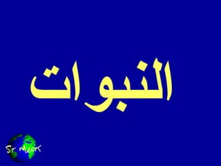 النبوات 
