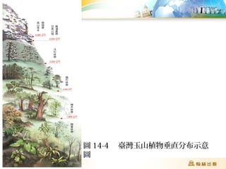 圖 14-4 臺灣玉山植物垂直分布示意
圖