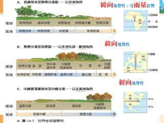緯向地帶性:受雨量影響
緯向地帶性
經向地帶性