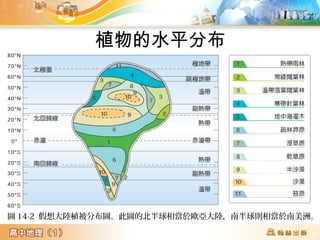 植物的水平分布
圖 14-2 假想大陸植被分布圖。此圖的北半球相當於歐亞大陸,南半球則相當於南美洲。