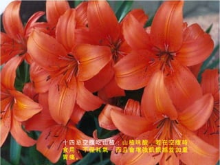 十四忌空腹吃山楂： 山楂味酸，若在空腹時食用，不僅耗氣，而且會增強飢餓感並加重胃痛。  