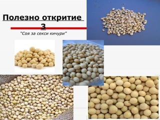 Полезно откритие  3 “ Соя за секси кичури ” 